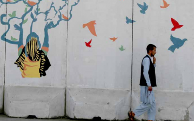 2020《阿富汗民意快速调查》：关于和平、疫情与经济