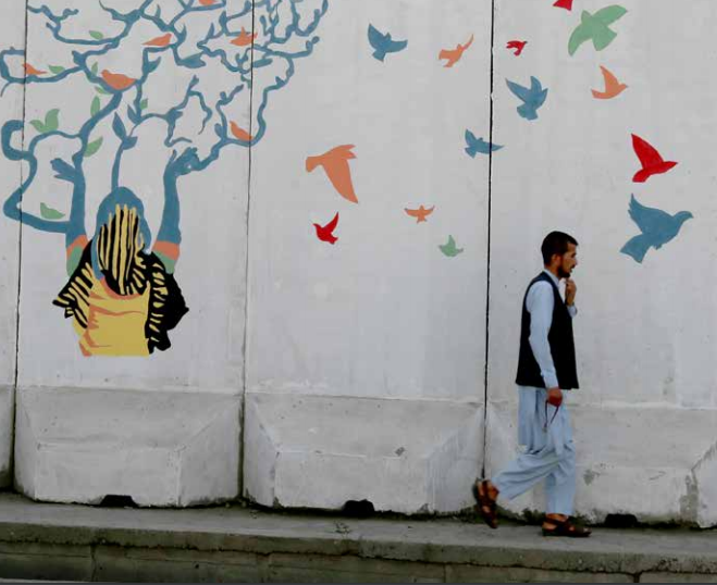 2020《阿富汗民意快速调查》：关于和平、疫情与经济